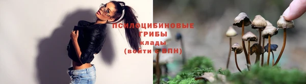 ALPHA PVP Зеленокумск