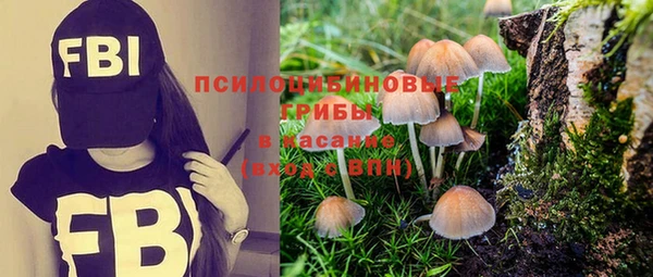 MDMA Зерноград